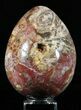 Colorful, Polished Petrified Wood Egg - Triassic #58517-1